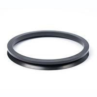 V-Ring Seals